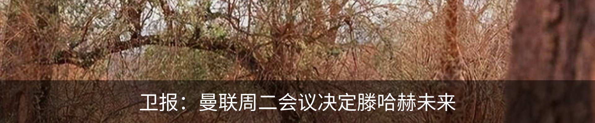 内页banner